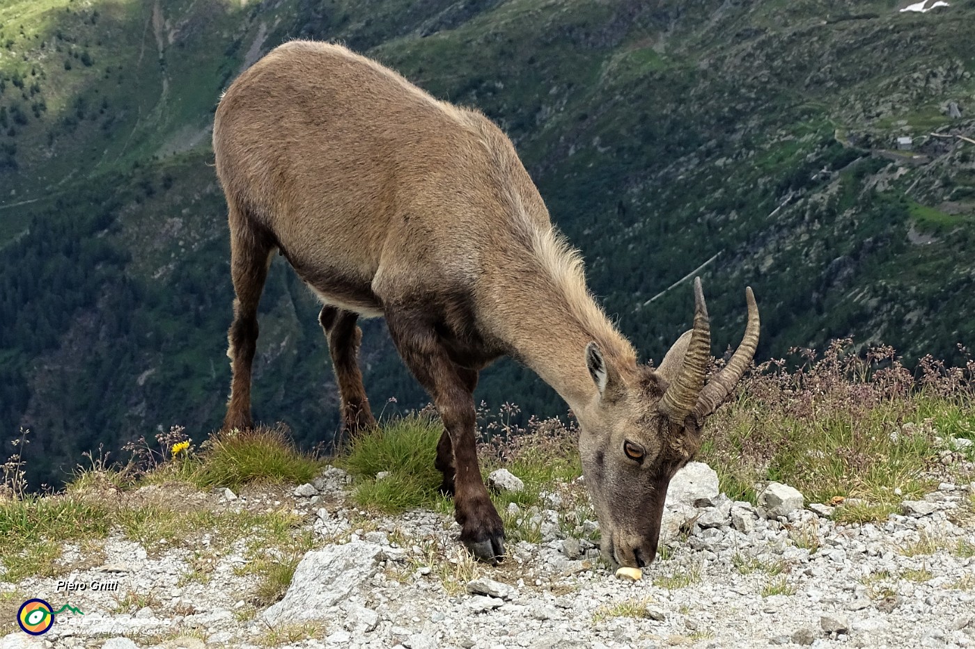 45 A pochi passi per un un po' di pane.JPG